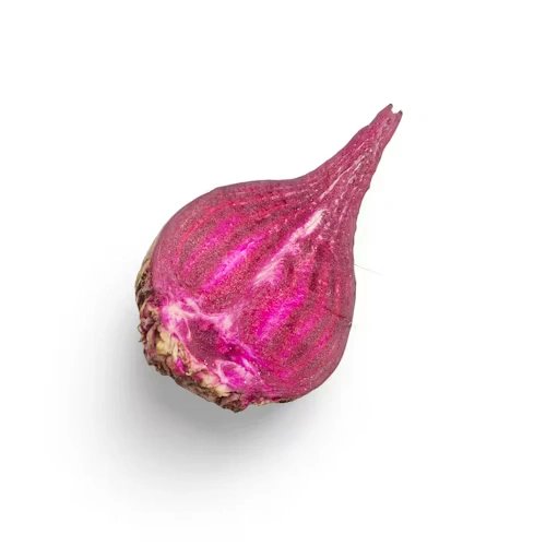 Bietengerecht